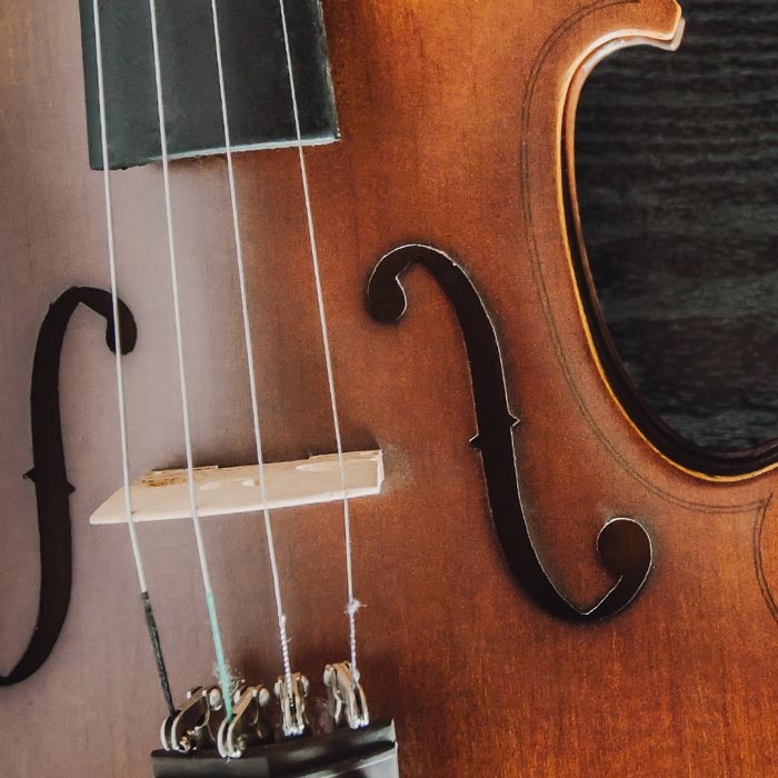 Violin