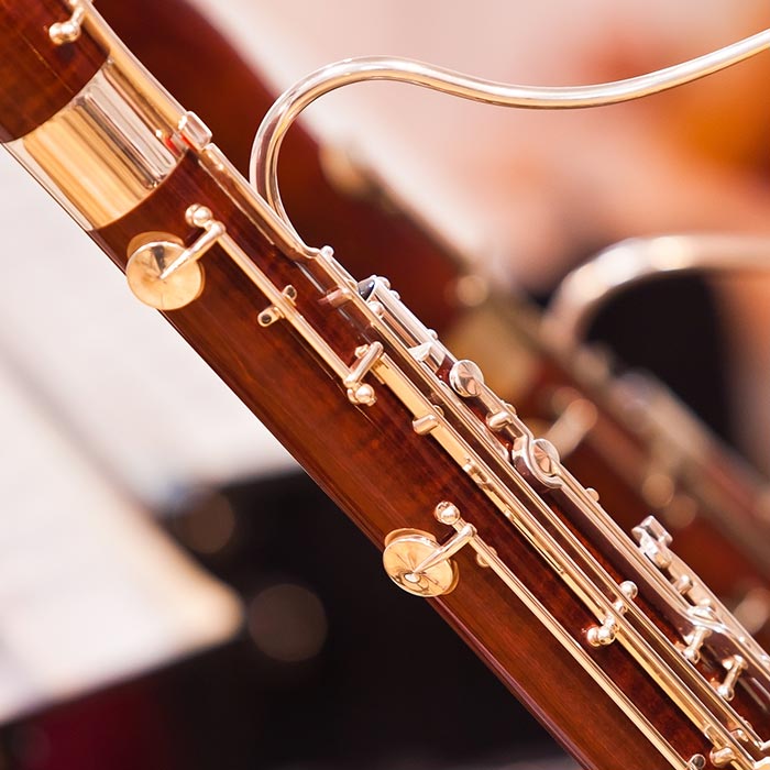 A bassoon